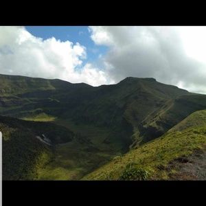 Meet your Posher, Steph